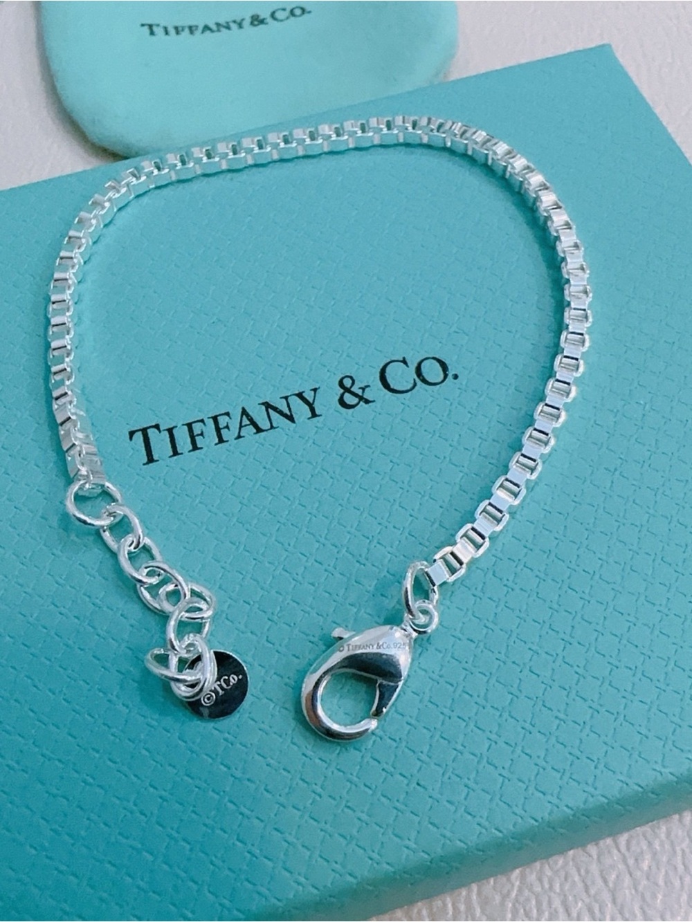 Tiffany & Co. Sterling Silver Box Chain Bracelet on Tiffany Blue